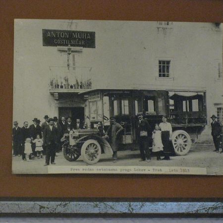 Guesthouse Muha Lipica Dış mekan fotoğraf